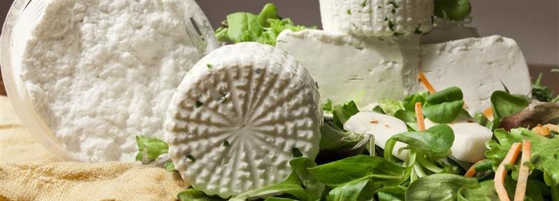 Formaggi Freschi